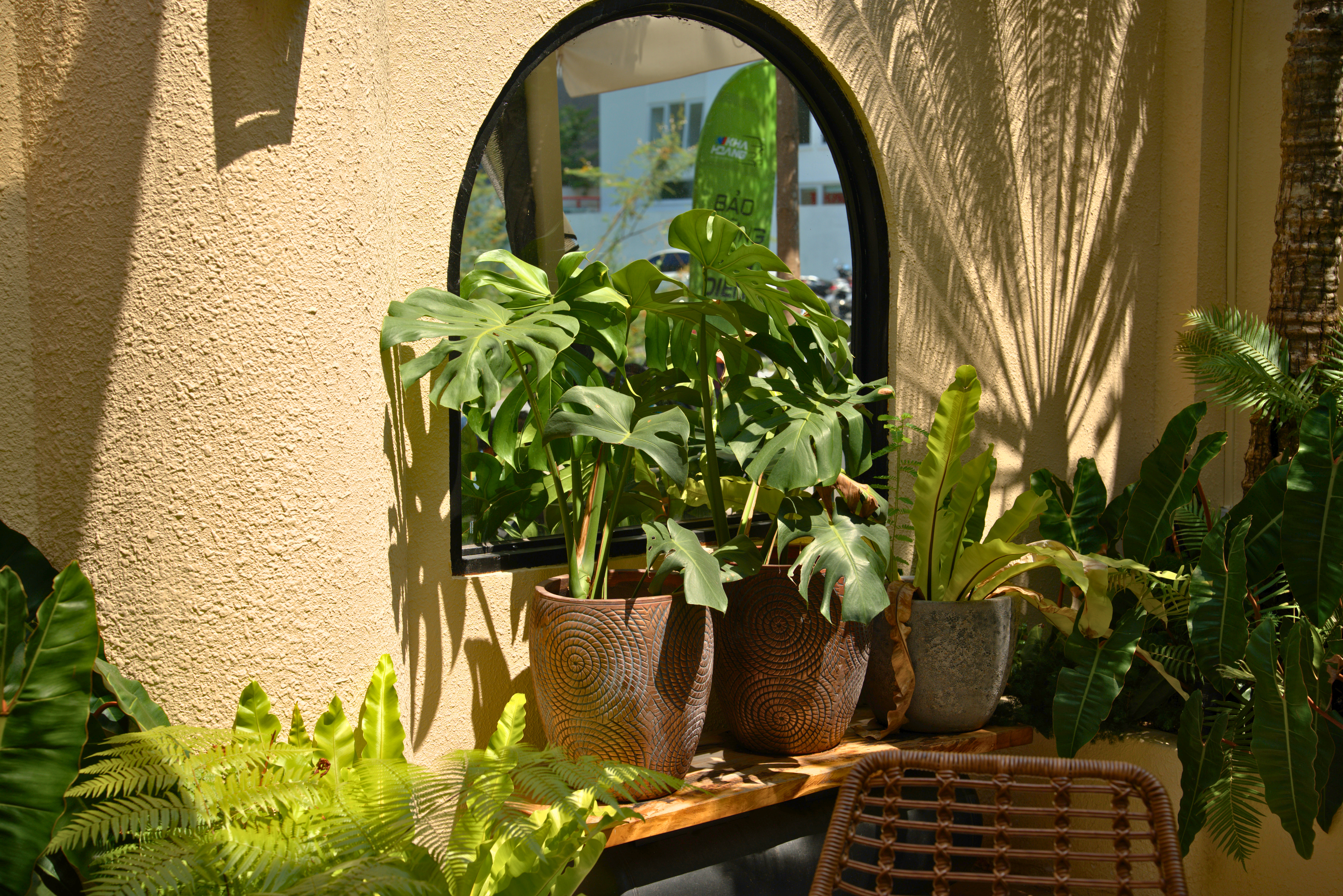 quán cafe cây cối (2).jpg