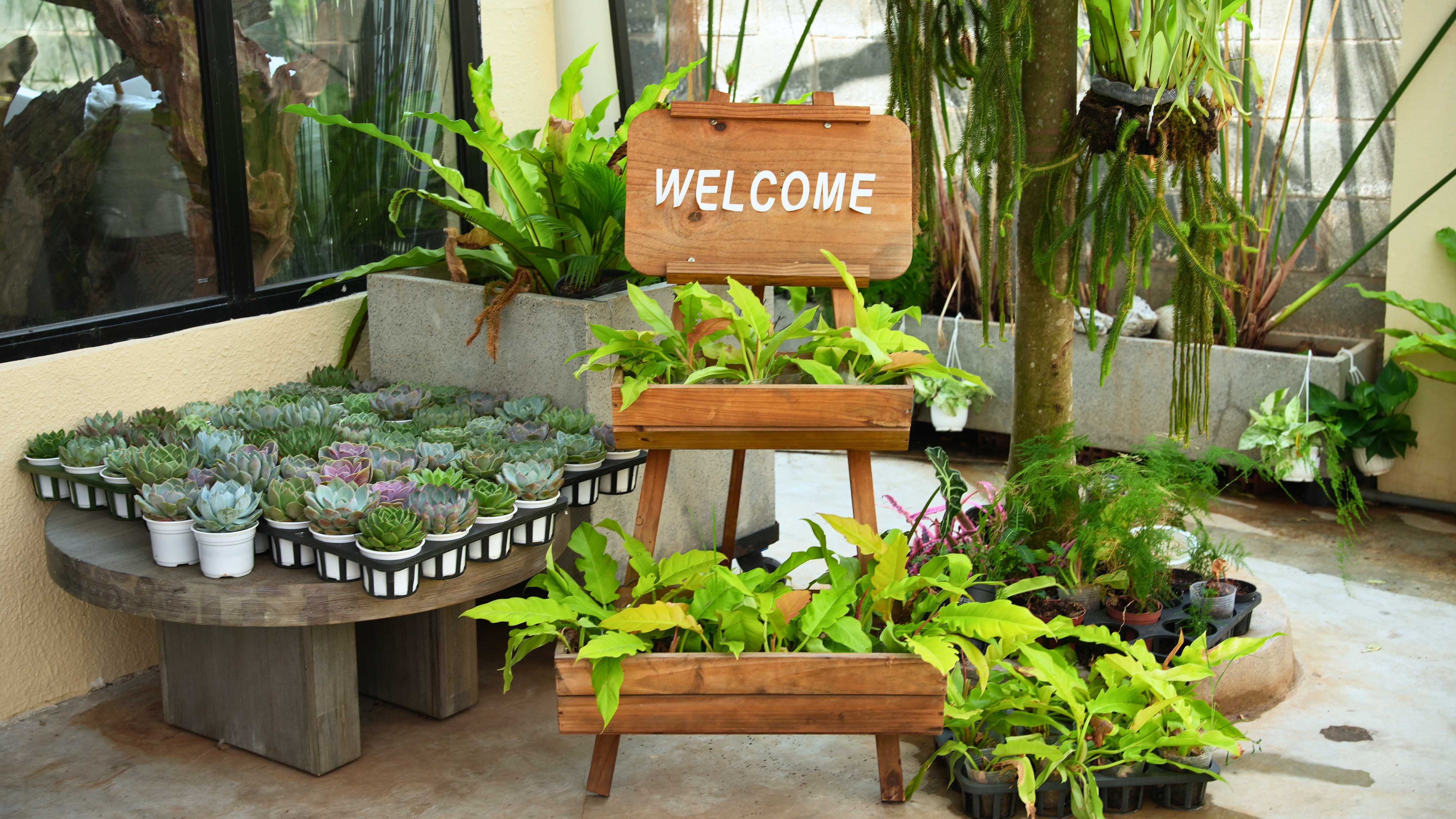 quán cafe cây cối.jpg